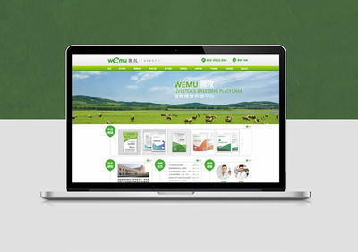 医药行业网站设计与电子商务平台构建