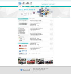 山东春季高考网方案一 易拓网络网站案例分享——聚焦电子商务运营与推广