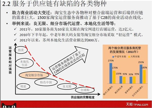 天猫运营服务商行业年鉴 电子商务运营商的生存现状与推广策略探析